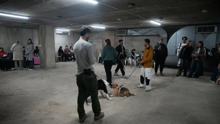 ইসরায়েলে ক্ষেপণাস্ত্র ও ড্রোন ছুড়েছে ইরান