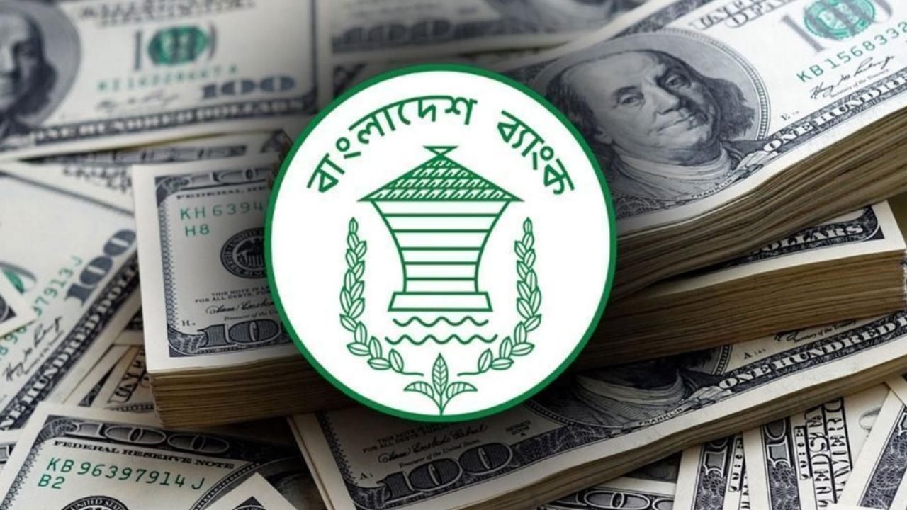 ১৯ দিনে রেমিট্যান্স এলো ২৪৮ কোটি ৩০ লাখ ডলার