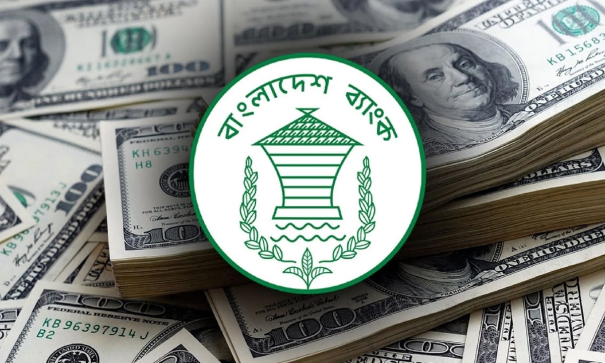 ১৯ দিনেই এলো ২১২ কোটি ডলার রেমিট্যান্স