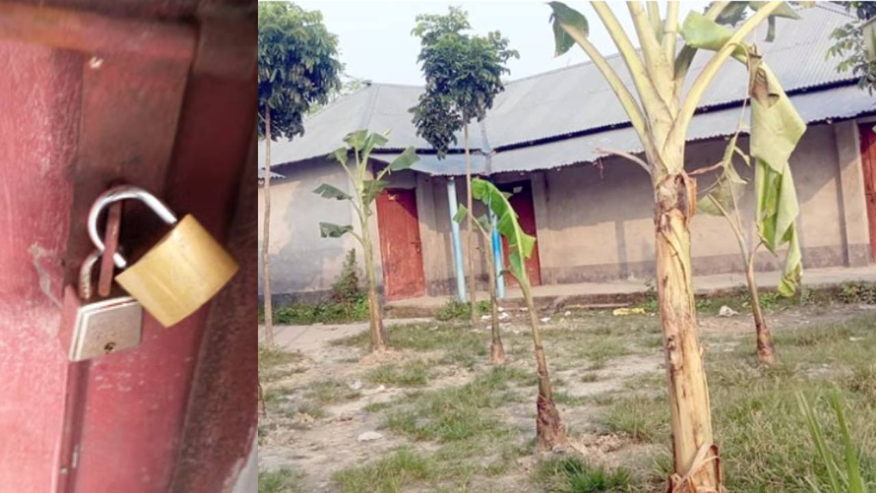 পুত্রবধূকে ‘চাকরি না দেওয়ায়’ স্কুলে তালা, মাঠে কলাগাছ লাগালেন সাবেক দাতা সদস্য