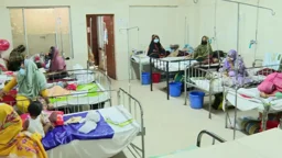 হামের প্রাদুর্ভাবে শিশু মৃত্যু বেড়ে ১০১৯