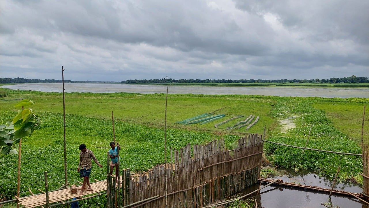 নান্দিয়ার বিল এখন বিএনপি নেতাদের নিয়ন্ত্রণে

