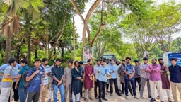 সরকারি চাকরিতে ভাইভার নম্বর বৃদ্ধির প্রতিবাদে কুবিতে মানববন্ধন