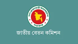 অসহনীয় আর্থিক চাপের শঙ্কা, চাঁদাভিত্তিক পেনশন চালুর সুপারিশ
