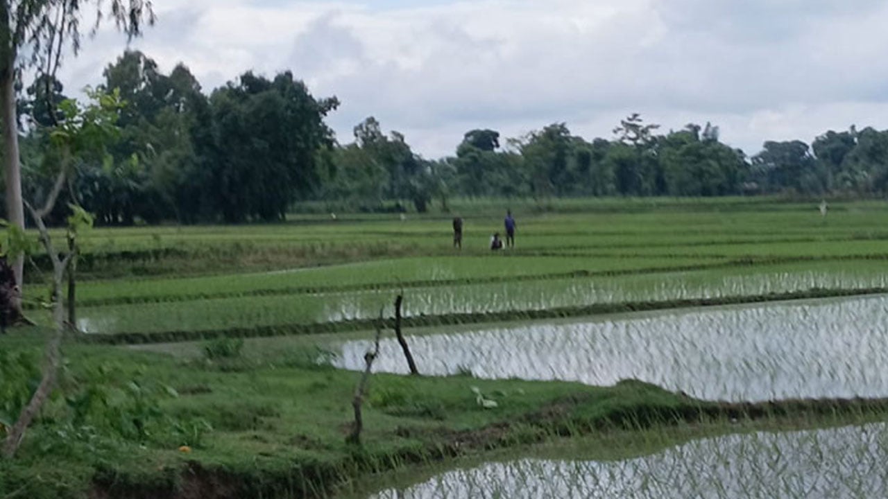 পাটগ্রাম সীমান্তে বিএসএফের খুঁটি স্থাপনের চেষ্টা