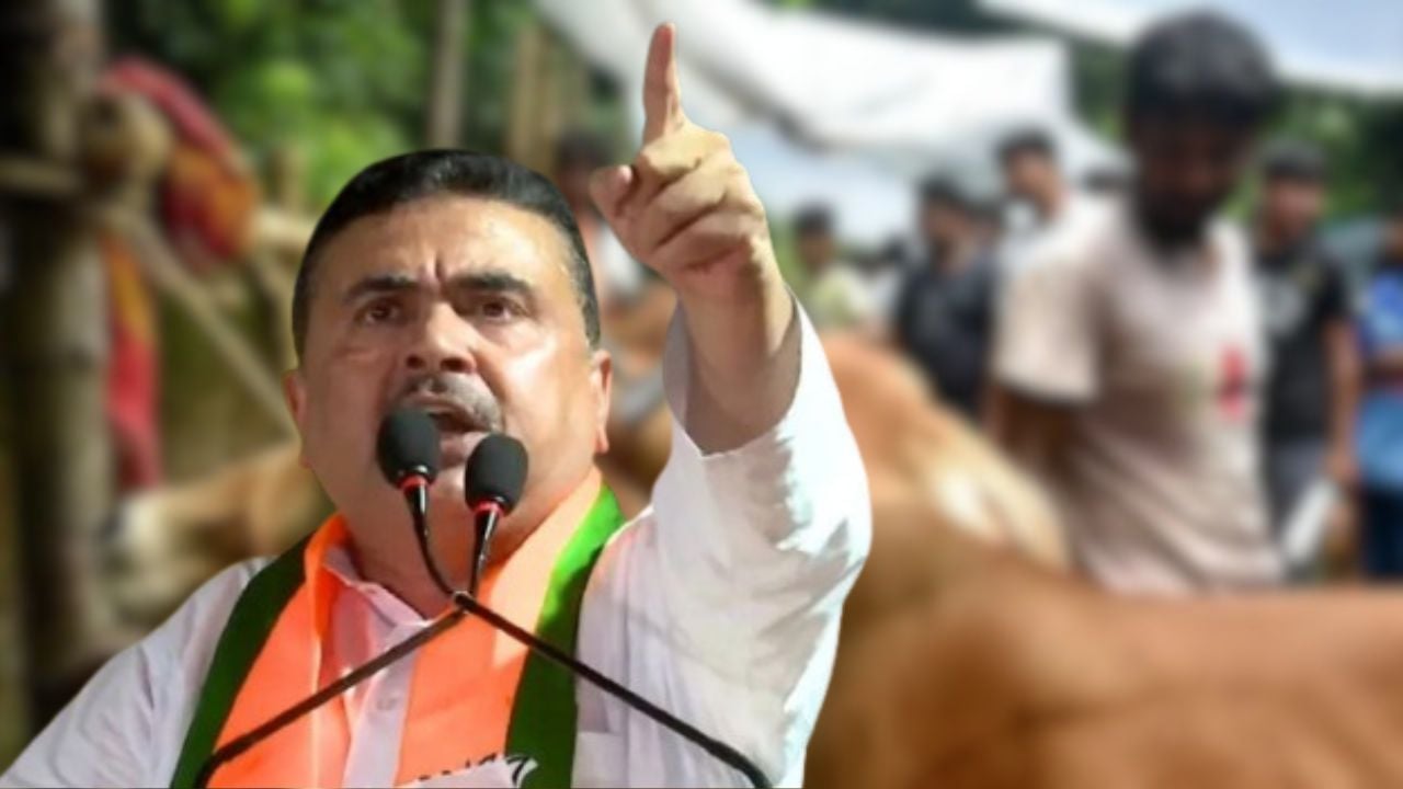 পশ্চিমবঙ্গে গরু জবাই হলে আমার চেয়ে খারাপ কেউ হবে না: শুভেন্দু