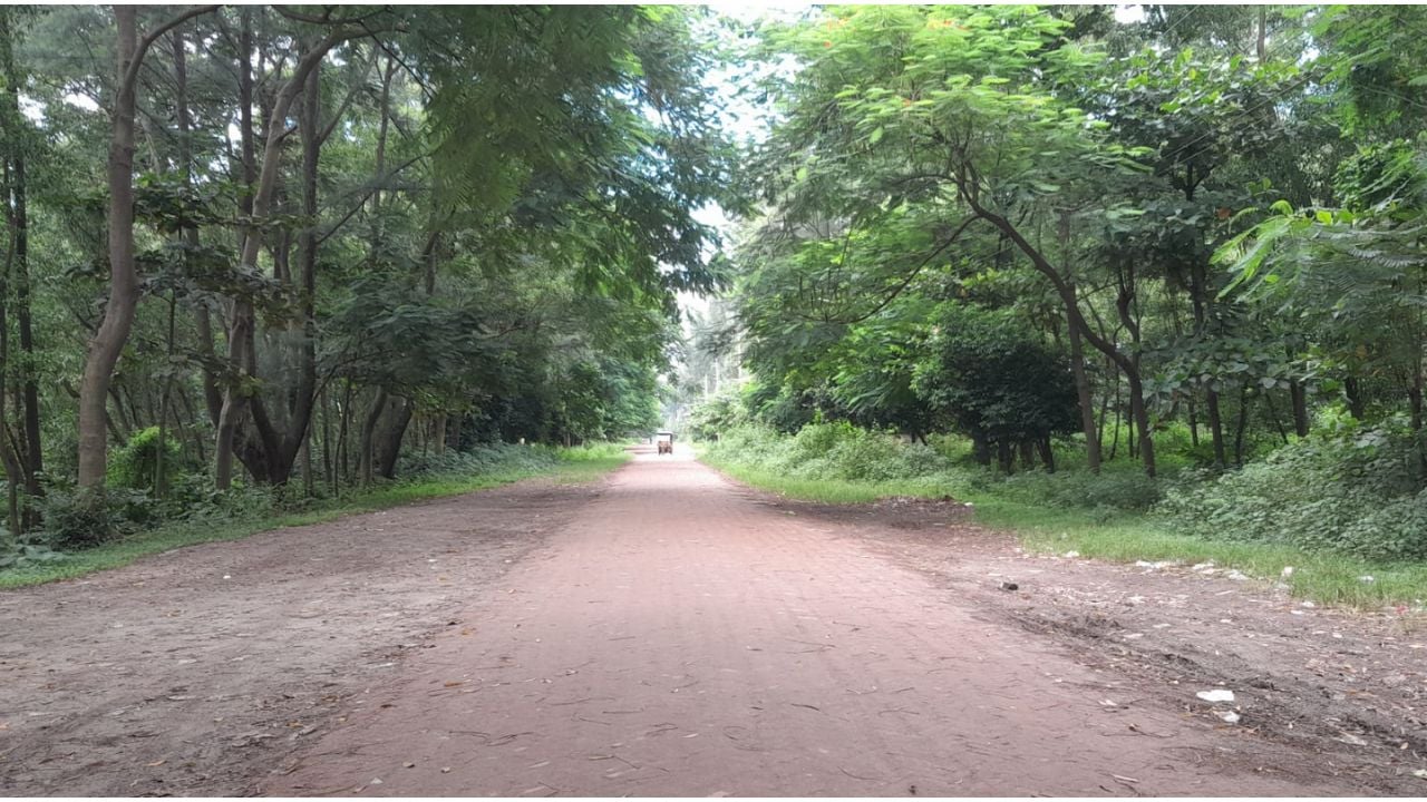 সাভারের আশুলিয়ায় আমিন মোহাম্মদ গ্রুপের আশুলিয়া মডেল টাউন আবাসন প্রকল্প। ছবি: সিজেডএন টোয়েন্টিফোর