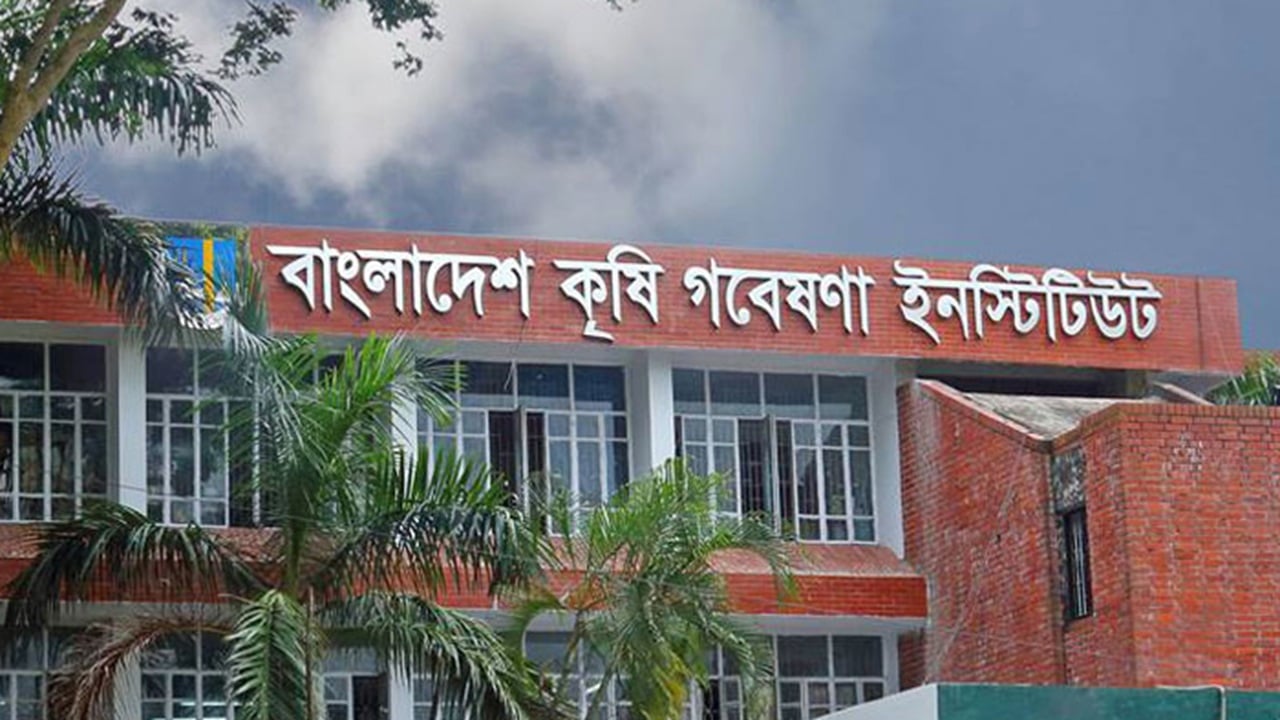 বাংলাদেশ কৃষি গবেষণা ইনস্টিটিউটে চাকরি