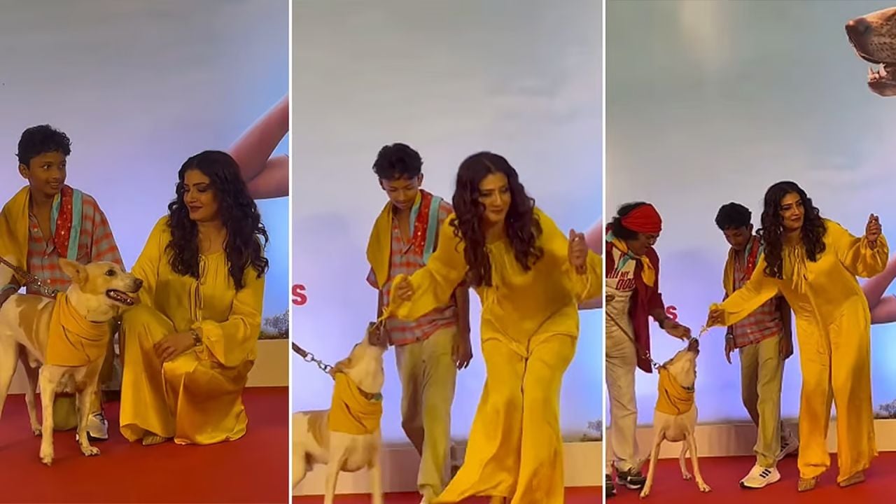 সিনেমার প্রিমিয়ারে কুকুরের হামলার শিকার রাভিনা 