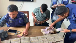 চীনা ব্যবসায়ীর কোটি টাকা নিয়ে পালানো গাড়িচালক গ্রেপ্তার