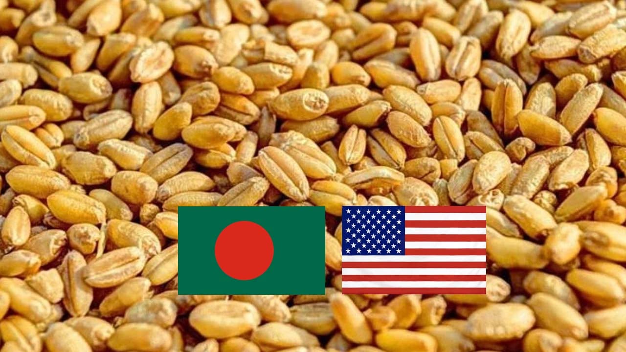 বেশি দামে যুক্তরাষ্ট্র থেকে গম কিনছে সরকার