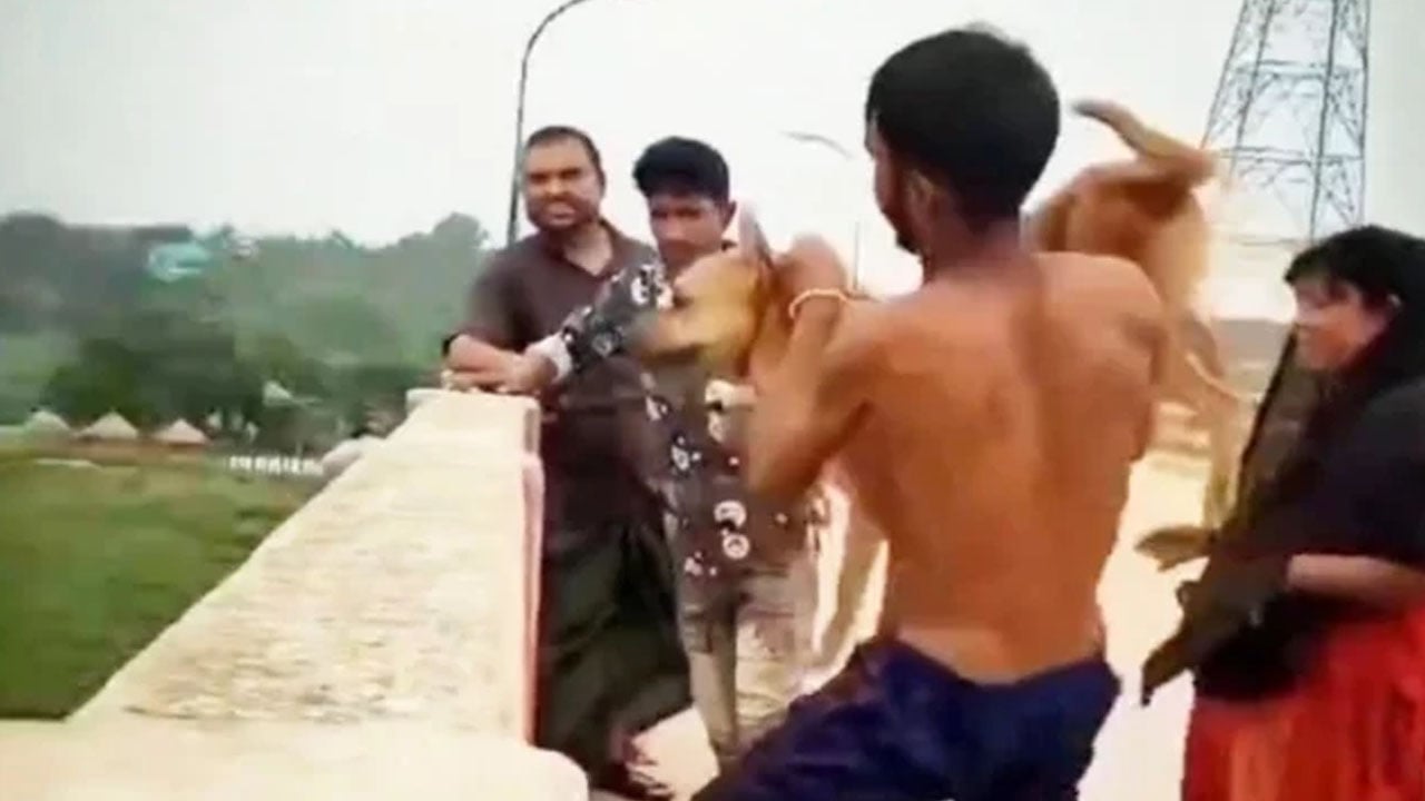 কুকুরের গলায় ইট বেঁধে নদীতে ফেলার ঘটনায় আরও ২ জন গ্রেপ্তার