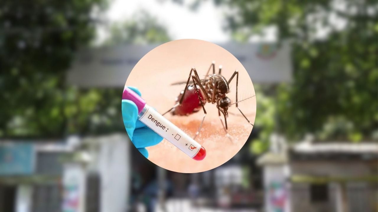 অস্বাস্থ্যকর আবাসনে মানবেতর জীবন, ডেঙ্গু ঝুঁকিতে মাঠপর্যায়ের বেশিরভাগ পুলিশ