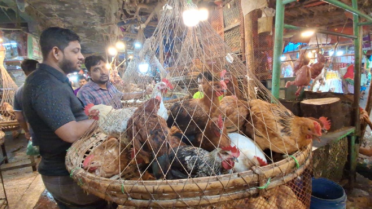 নয়াবাজারের মুরগির দোকানে দরদাম করছেন ক্রেতারা। ছবি: সিজেডএন টোয়েন্টিফোর