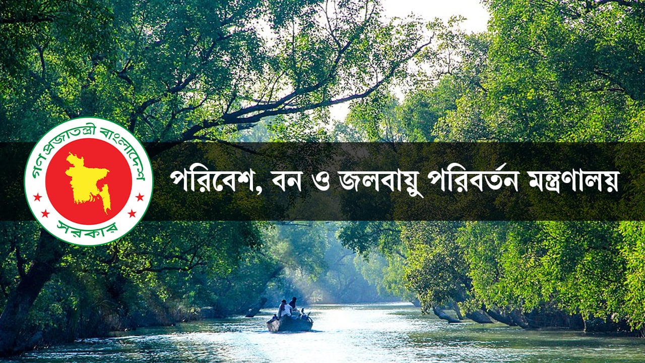ইন্টার্নশিপ করুন পরিবেশ, বন ও জলবায়ু পরিবর্তন মন্ত্রণালয়ে
