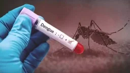 ডেঙ্গুর ধরনে পরিবর্তন, বাড়ছে শঙ্কা