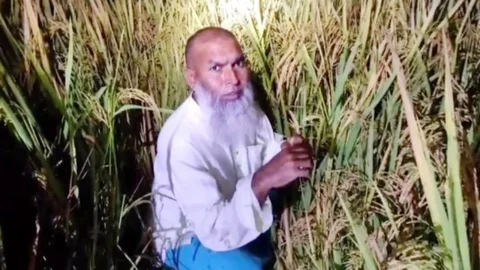 ধানখেতে লুকিয়ে থাকা আ.লীগ নেতা গ্রেপ্তার