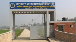 বাংলাদেশ ধান গবেষণা ইনস্টিটিউটে নতুন নিয়োগ বিজ্ঞপ্তি