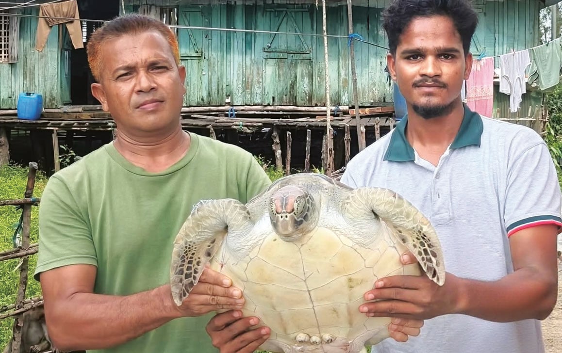 কচ্ছপ