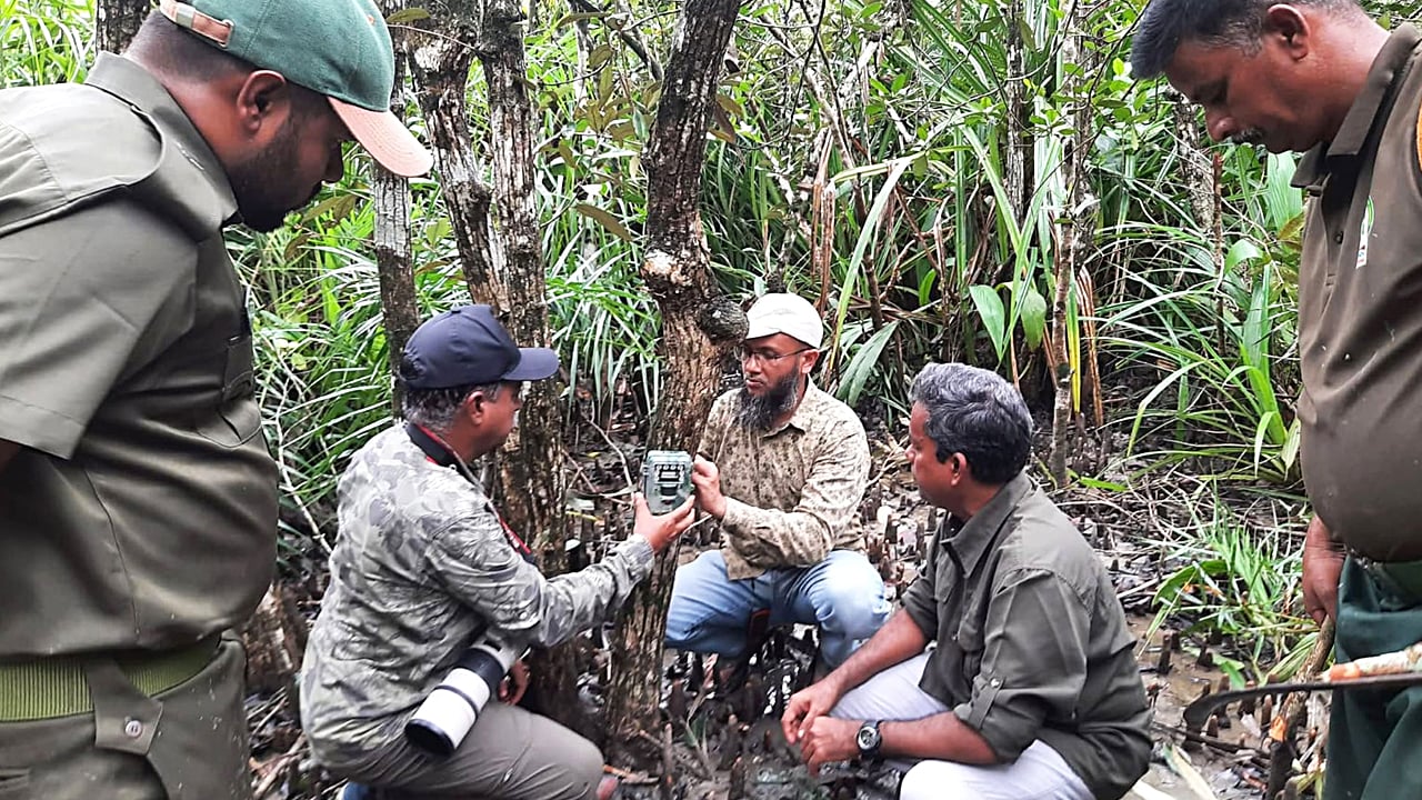 আহত সেই বাঘিনী সুন্দরবনে ফিরছে রবিবার 1