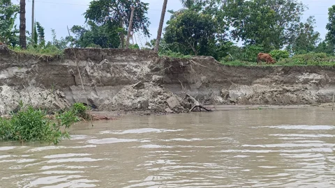 কবির মোল্লার সব কেড়ে নিলো সর্বনাশা পদ্মা!