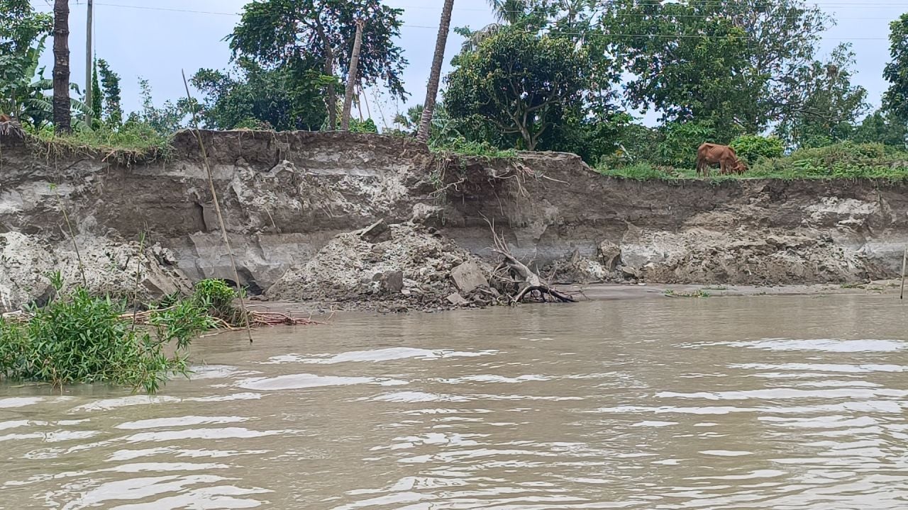 কবির মোল্লার সব কেড়ে নিলো সর্বনাশা পদ্মা!