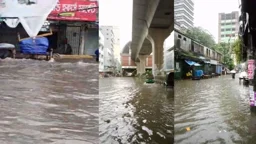 কয়েক ঘণ্টার বৃষ্টিতে ডুবলো নিউমার্কেট-মতিঝিল-আরামবাগ এলাকা