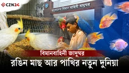 
ঢাকার বুকে রঙিন মাছের দুনিয়া, কোথায় পাবেন এই ভিন্ন অভিজ্ঞতা?