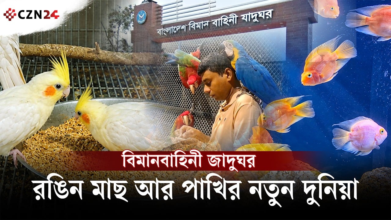 ঢাকার বুকে রঙিন মাছের দুনিয়া, কোথায় পাবেন এই ভিন্ন অভিজ্ঞতা?