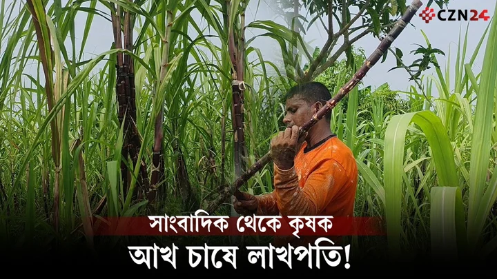 
লাল আখের লাখপতি রাহাত! ৩৩ শতাংশ জমিতে হাজার ব্যয়ে আয় ৩ লাখ টাকা