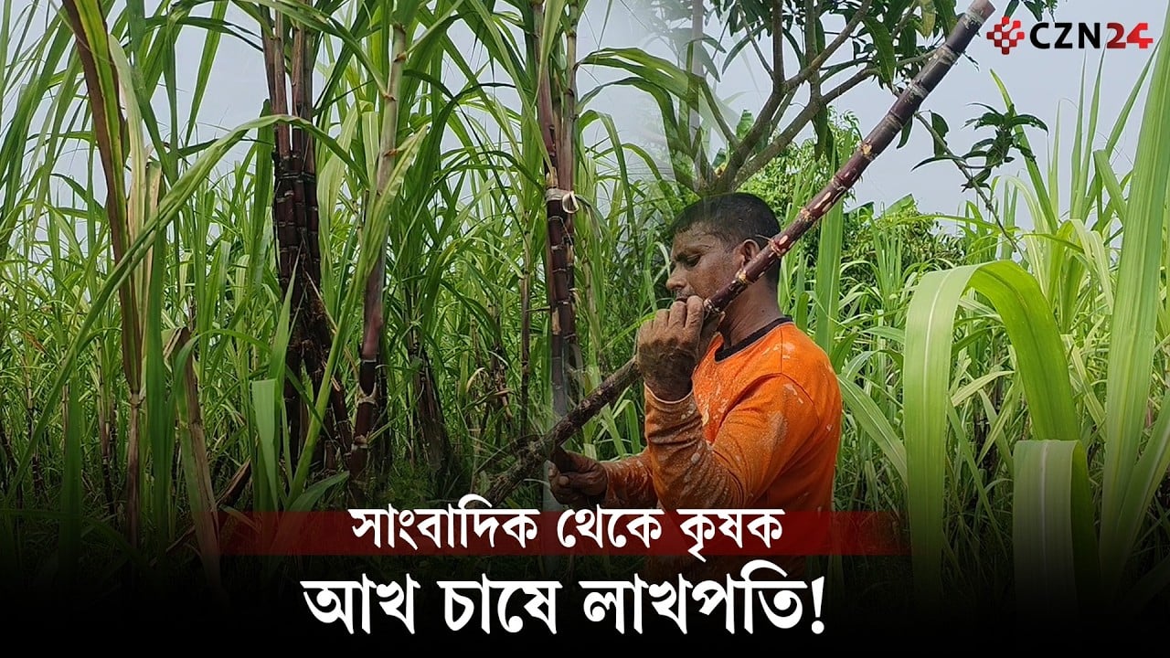 লাল আখের লাখপতি রাহাত! ৩৩ শতাংশ জমিতে হাজার ব্যয়ে আয় ৩ লাখ টাকা