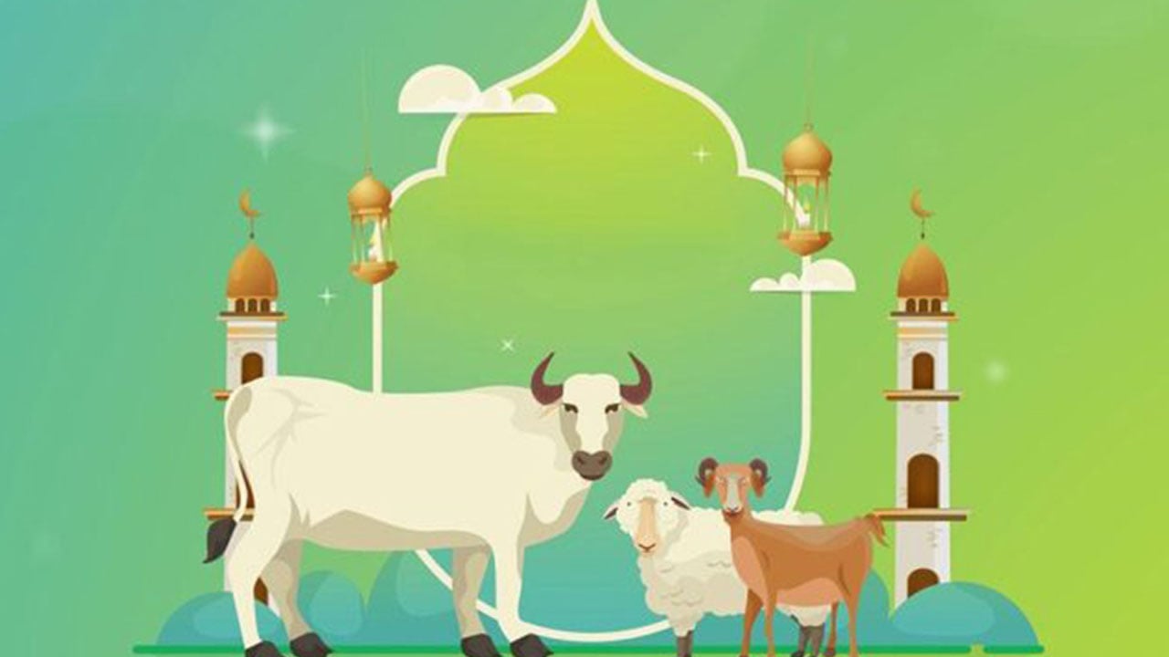 কোরবানিতে ৭ ভাগ এলো যেভাবে