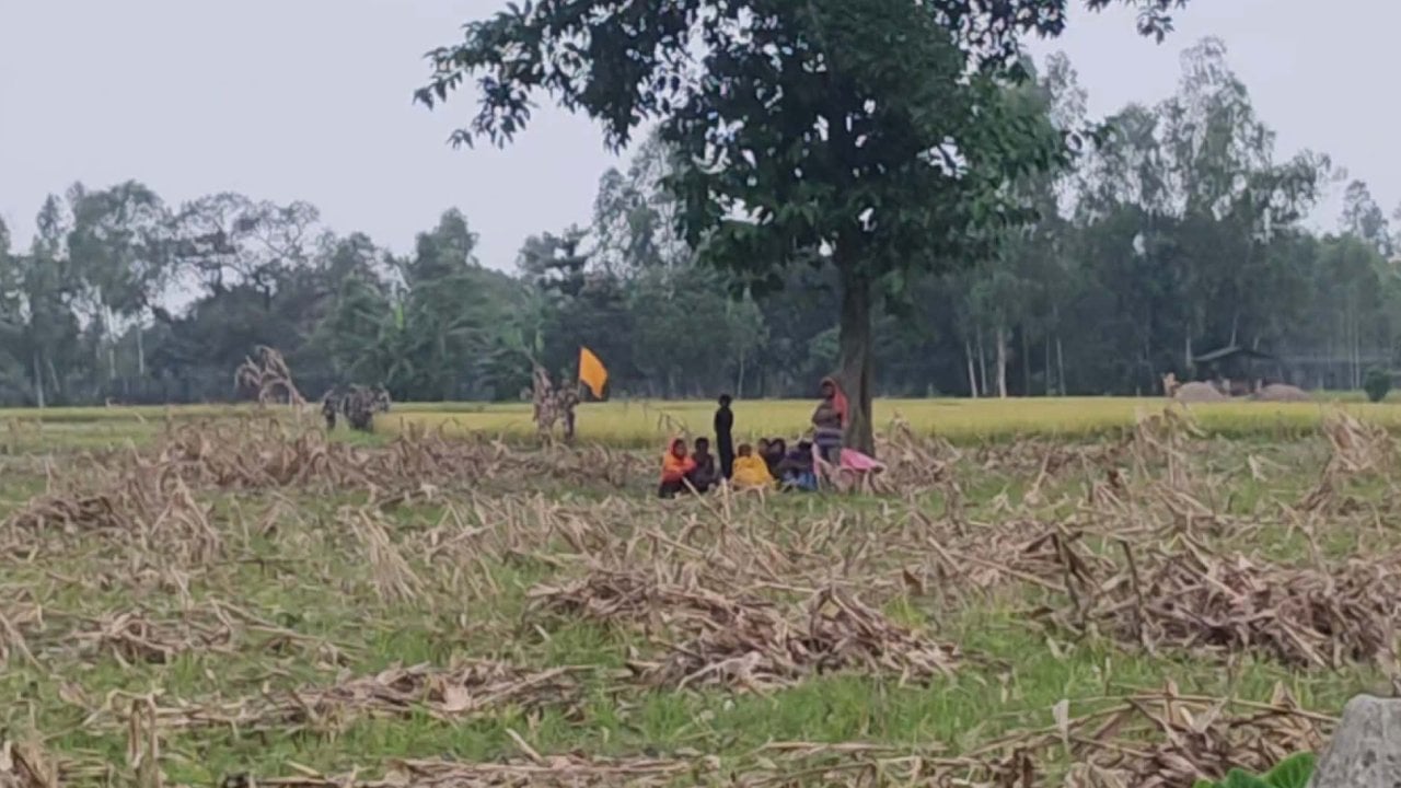 দুই দিন পর শূন্যরেখা থেকে ১১ জনকে সরিয়ে নিল বিএসএফ