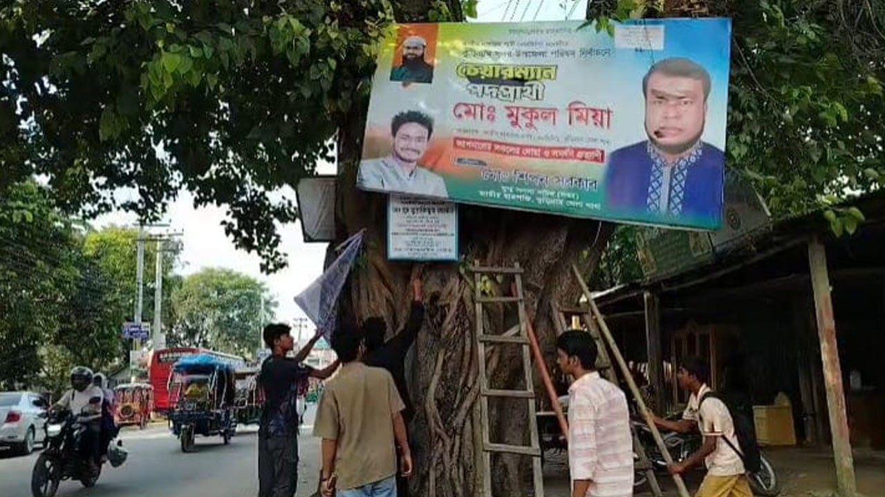 গাছের বুকে পেরেক-বিলবোর্ড, অপসারণের উদ্যোগ বৃক্ষপ্রেমীদের