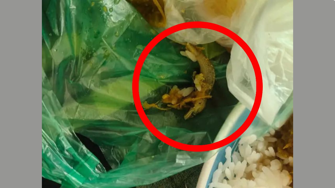 খুলনা বিশ্ববিদ্যালয়ে ক্যাফেটেরিয়ার খাবারে টিকটিকি পাওয়ার অভিযোগ