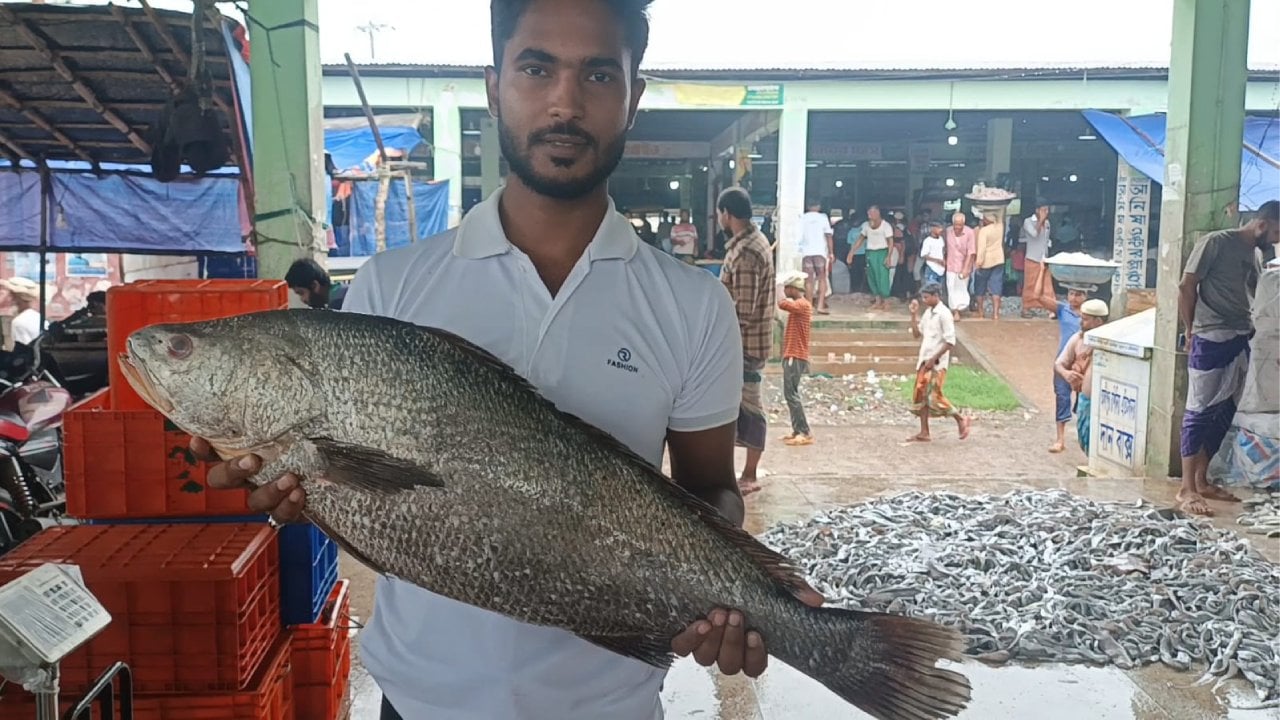 ৮ কেজির এক মাছ অর্ধলাখ টাকায় বিক্রি 