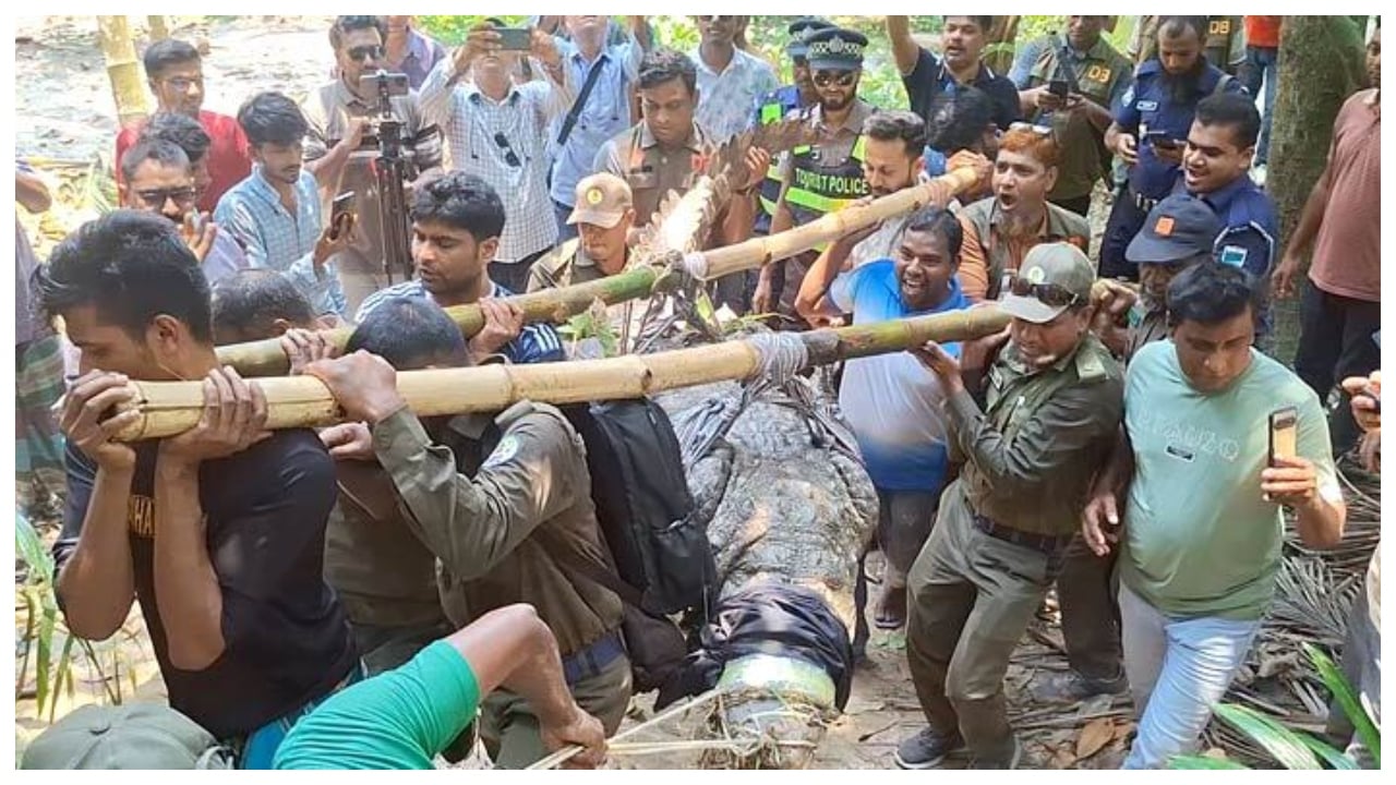 সরানো হলো খানজাহান আলীর মাজারের দিঘির সেই কুমিরটি