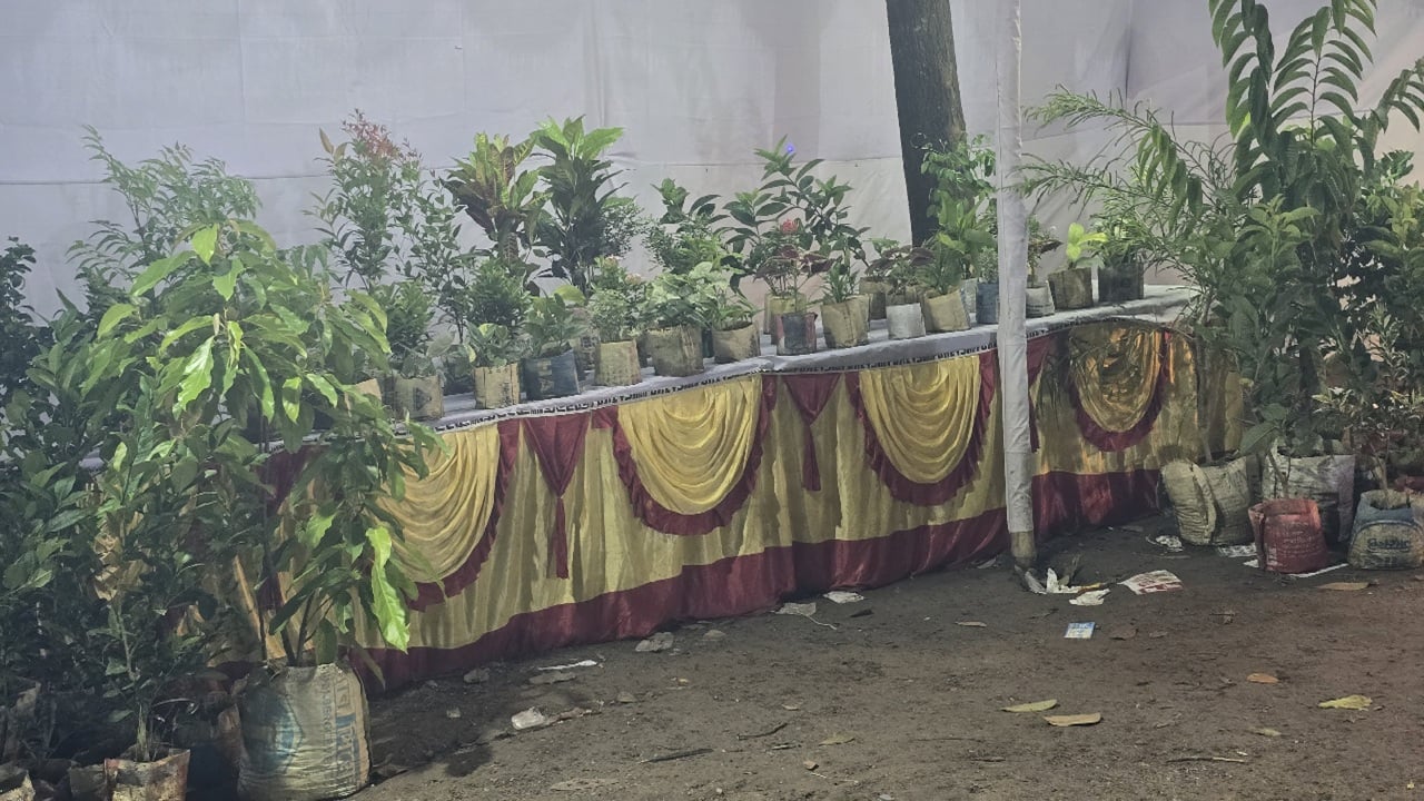 বৃক্ষমেলার নামে দোকানের পসরা 2