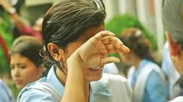 ২৯৩ শিক্ষাপ্রতিষ্ঠানে একজনও পাস করেনি