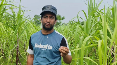 কনটেন্ট ক্রিয়েটর থেকে কৃষি উদ্যোক্তা, আখ চাষে সফল রাহাত রাজা
