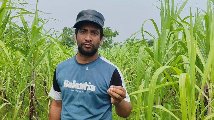 কনটেন্ট ক্রিয়েটর থেকে কৃষি উদ্যোক্তা, আখ চাষে সফল রাহাত রাজা