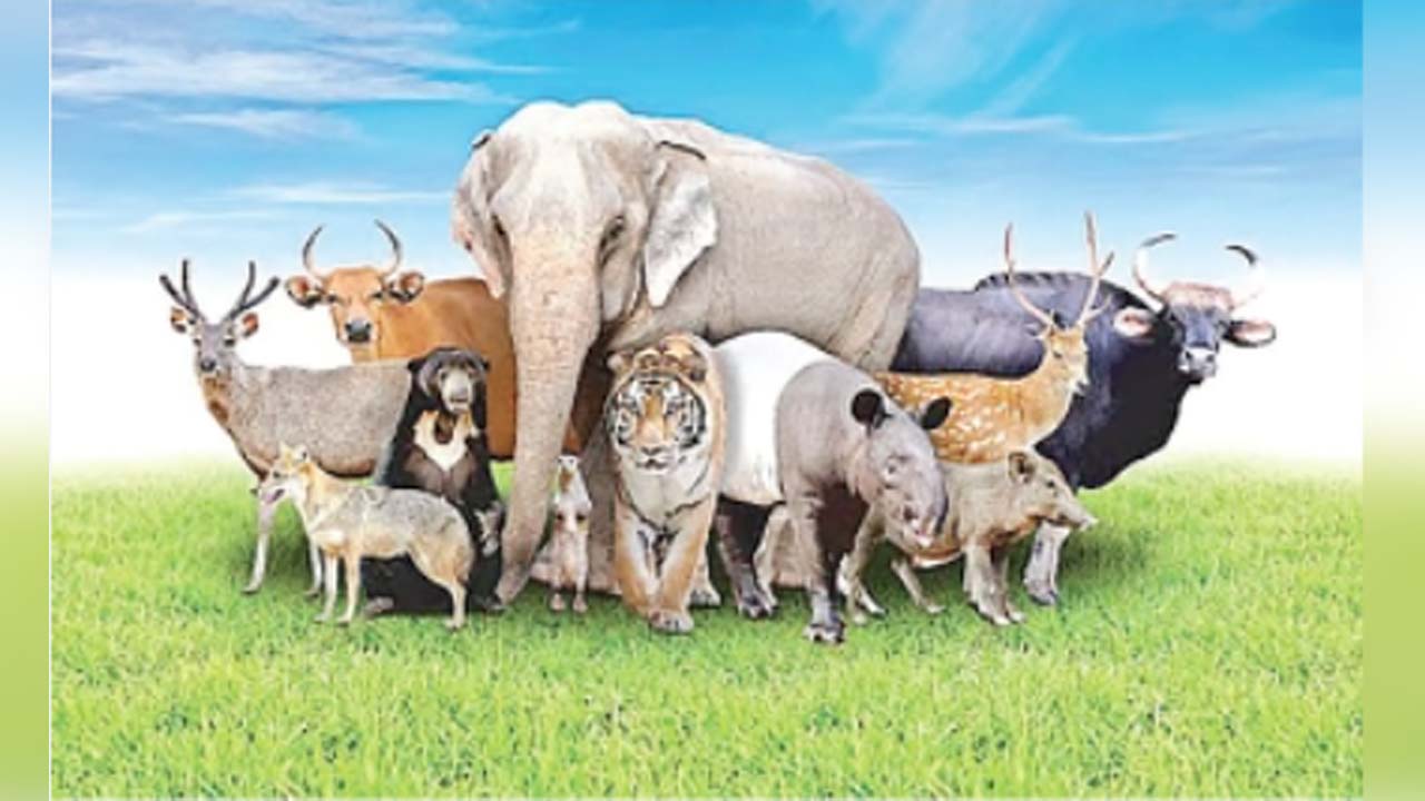 ইসলামে যেসব প্রাণী খাওয়া নিষেধ 