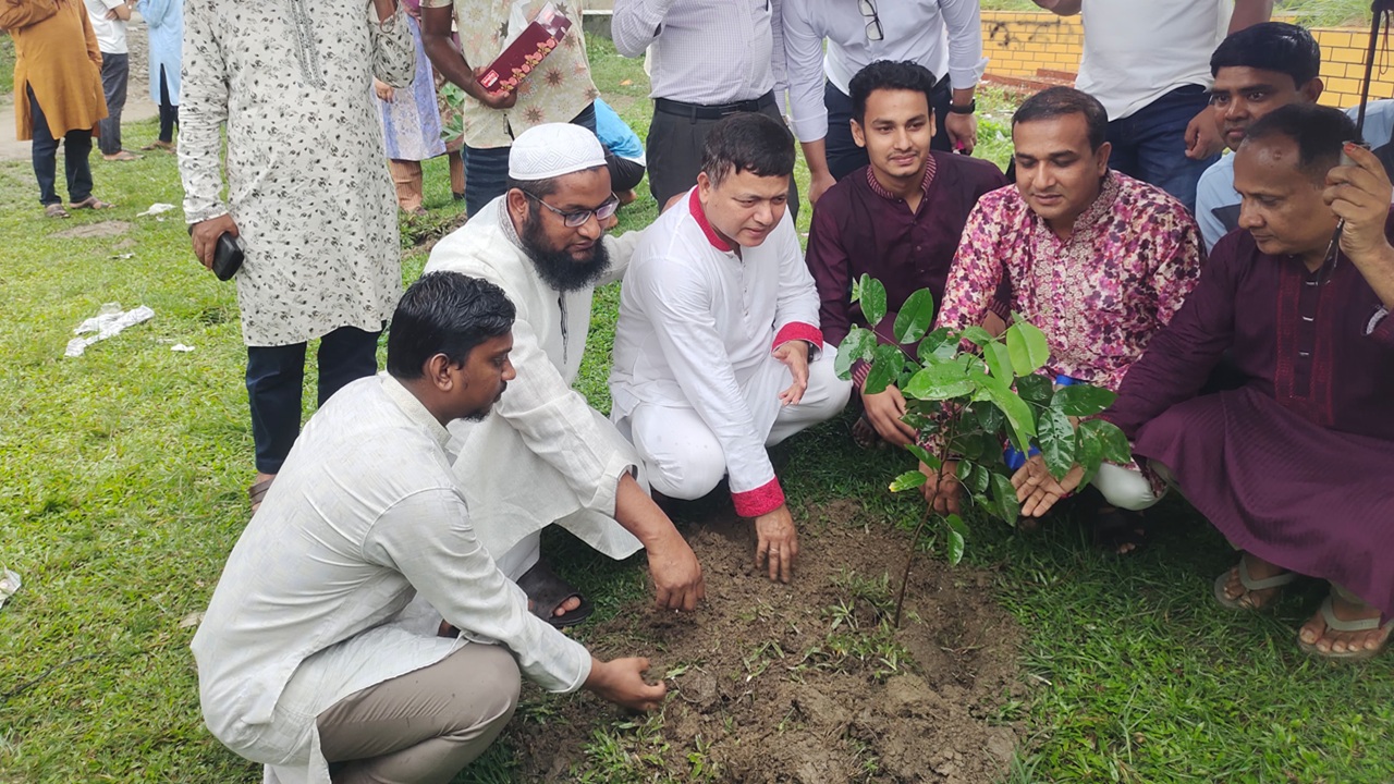 দফায় দফায় সংঘর্ষের পর ছাত্রদল-শিবিরের একসঙ্গে বৃক্ষরোপণ