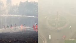 দাবানলের ধোঁয়া নিয়ে বিতর্ক: সিঙ্গাপুরে গ্যাস সরবরাহ কমালো ইন্দোনেশিয়া