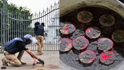 ককটেল ফোটালেই ৫০০০ টাকা, ভারতীয় নম্বর থেকে যোগাযোগ: ডিবি