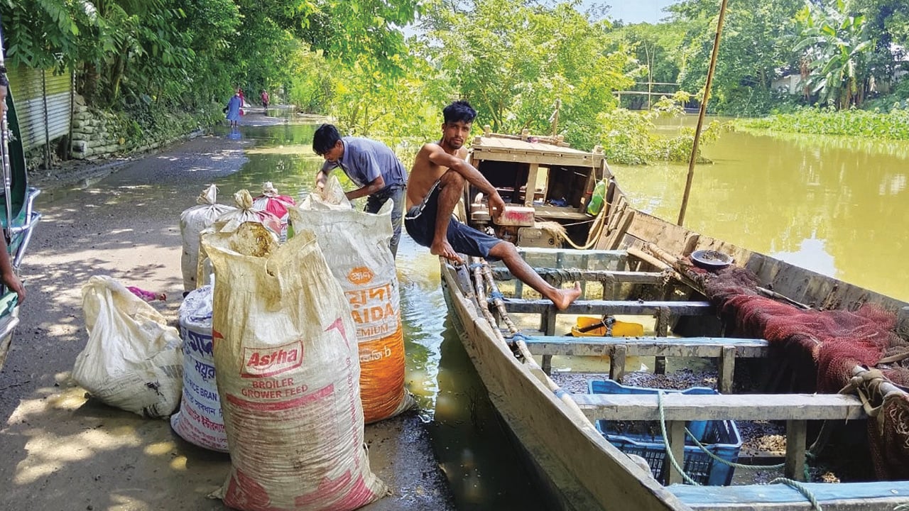 হাওরে অবাধে শামুক নিধন, হুমকিতে জীববৈচিত্র্য