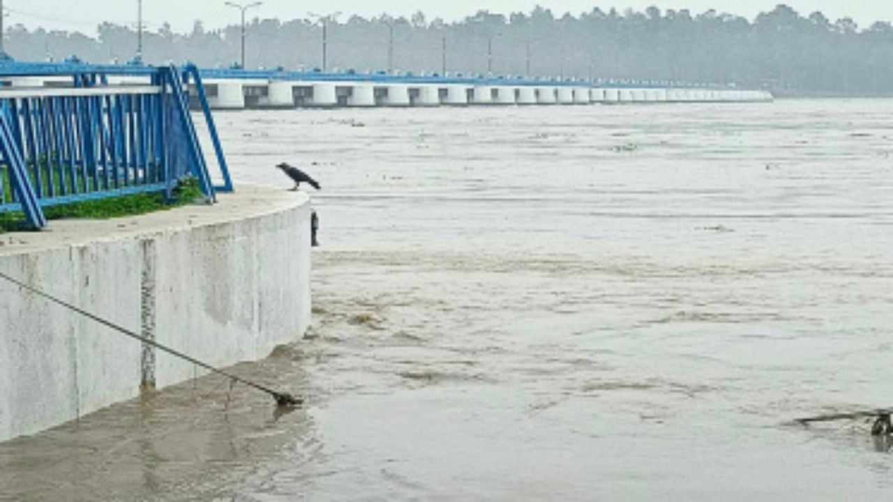 বিপদসীমার ওপরে তিস্তার পানি, বন্যা ঝুঁকিতে শত শত পরিবার
