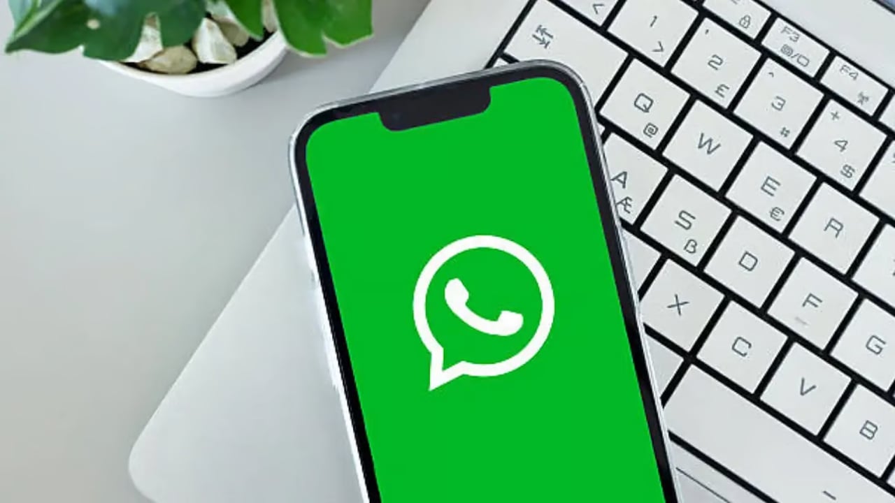 হোয়াটসঅ্যাপে ইউজার নেম কেন জরুরি