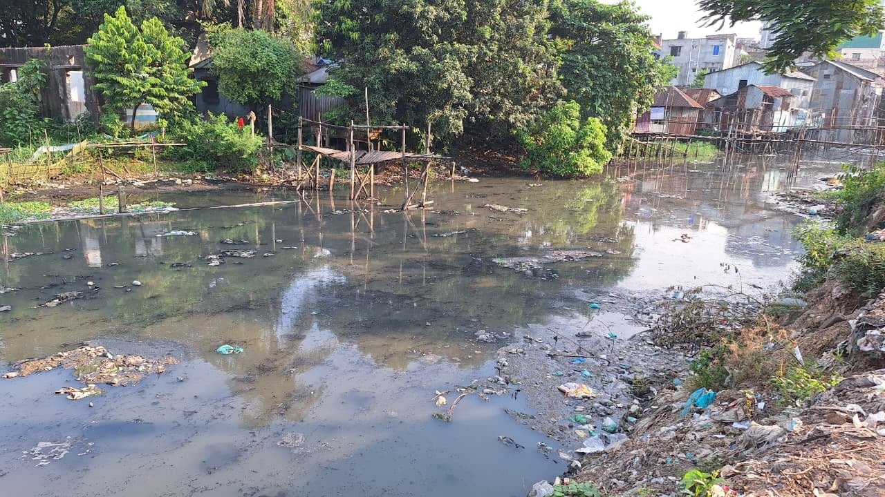 জিরানী খালের দূষিত পানিতে মশার লার্ভা দেখা যাচ্ছে। নন্দীপাড়া, ঢাকা। ছবি: সিজেডএন টোয়েন্টিফোর