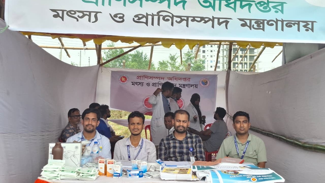 প্রাণিসম্পদ অধিদপ্তরের উদ্যোগে রাজধানীর পশুর হাটে চিকিৎসা সেবা দিচ্ছেন গণ বিশ্ববিদ্যালয়ের ১৮ শিক্ষার্থী। ছবি: সংগৃহীত